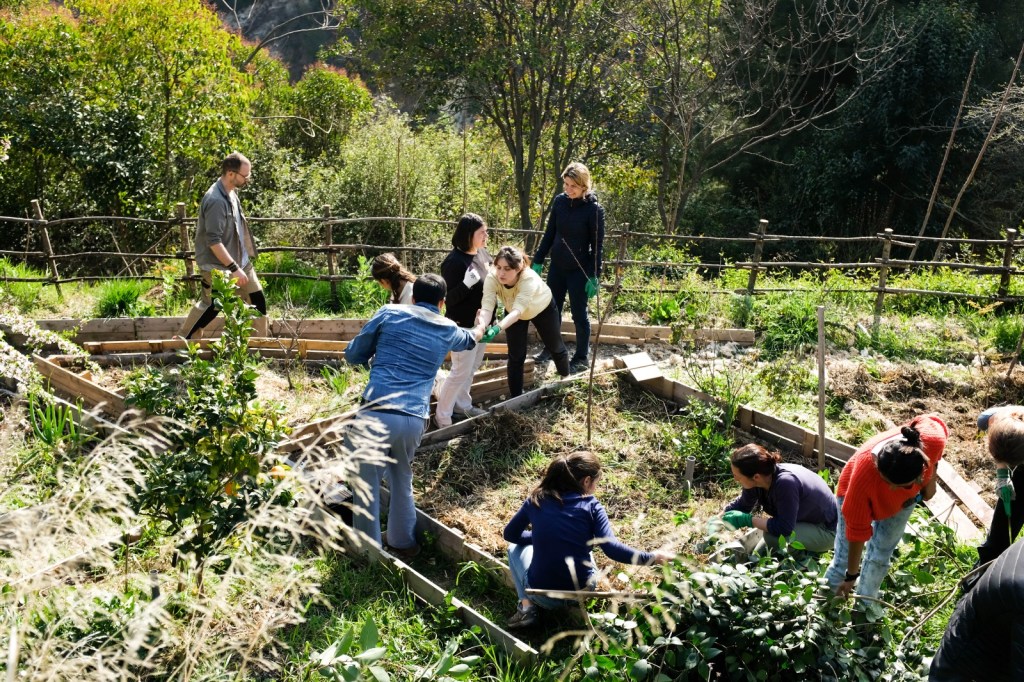Jardin-du-petit-pessicart-nice-permaculture.